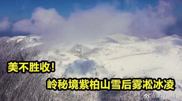 燃烧吧大脑装瓶子游戏