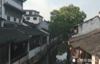 守卫木鱼